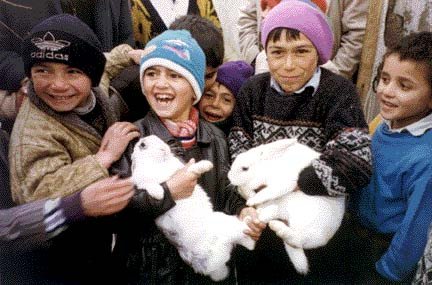 Azerbaijani refugee kids