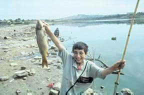 Pollution in Azerbaijan